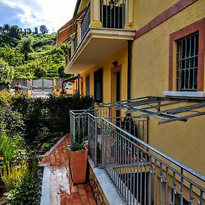 Sally's Carrara